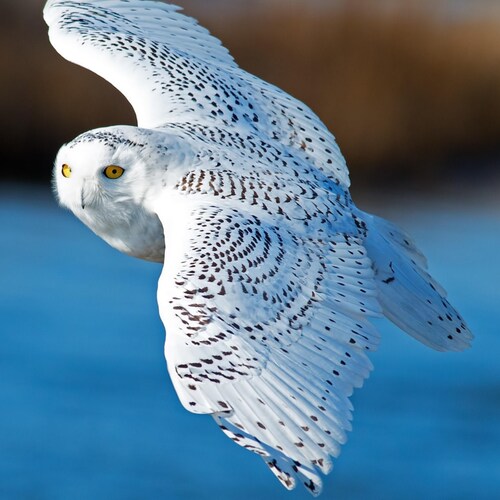 Visit HUANGZONGYANG's profile on GETTR. View their posts, photos, videos, and connect with them on the social platform.