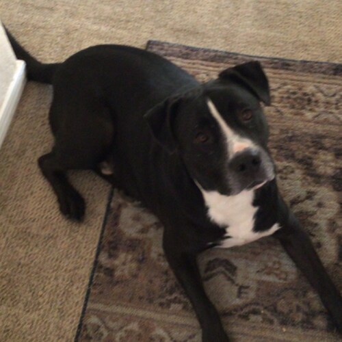 I’m here living at this time for a reason. We all are. Welcome to the revolution 🇺🇸