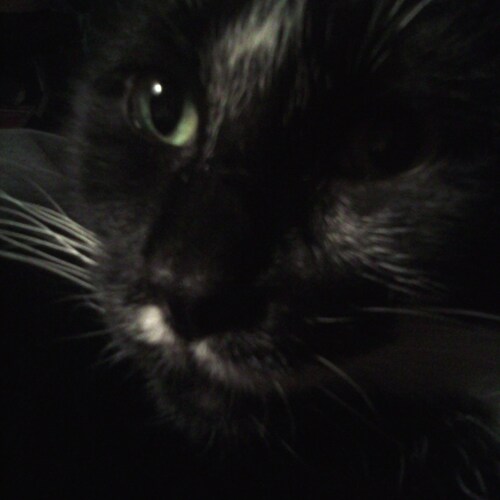 Seeker of truth. Patriot. US Army Vet.