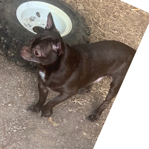 Redneck engineer and fixer of broken stuff