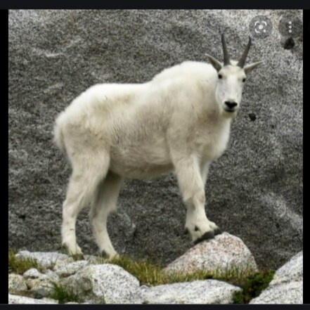 The "Ruling Class" can kiss my ass 
GFY Establishment

Not a terrorist..really

If you are fleeing the cities don't come...