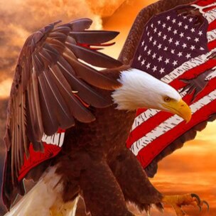 Do you support Trump? Do you respect veterans and our flag? If you answer yes to these questions then follow me and Lets...