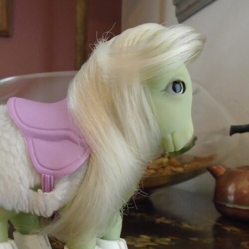 My Little Pony toy restoration since 2017.
Follow ≠ endorsement.
#SmallBusiness #FreeSpeech #ChristFollower #GenX