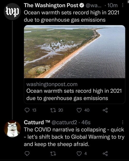 View Catturd ™'s post on GETTR. Join the discussion, share your thoughts, and connect with the community.