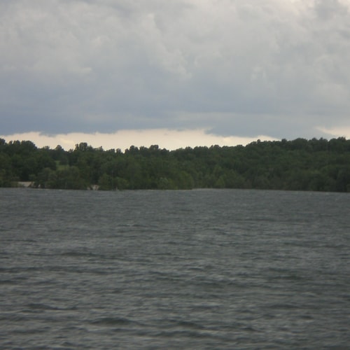 DJT 2024-US citizen-happily married-no DMs please-Documenting dangers of liberalism: no sleaze, or crypto or sales pitch...