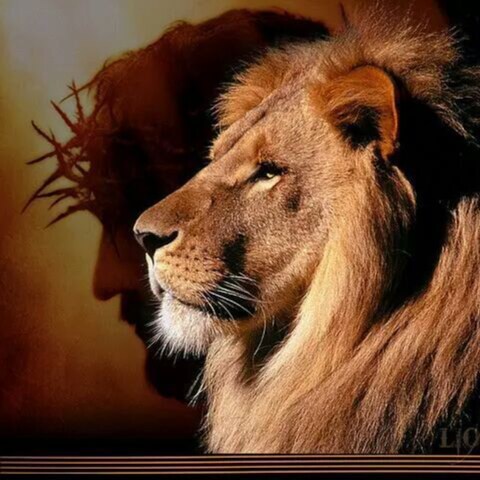 Visit godblesstheusa2's profile on GETTR. View their posts, photos, videos, and connect with them on the social platform.