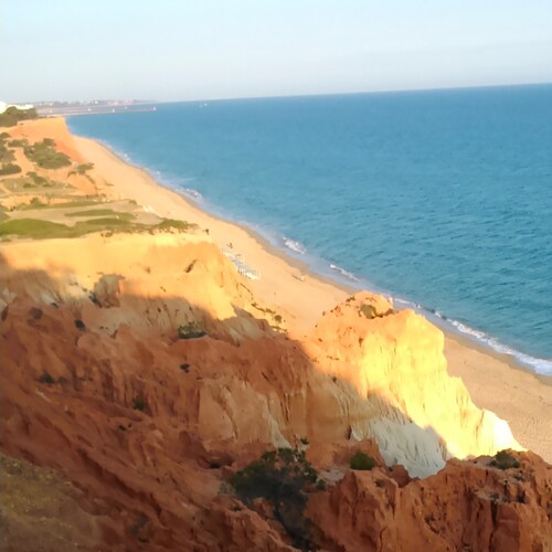 Der Herr ist mein Hirte, mir wird nichts mangeln. Er weidet mich auf grünen Auen und führet mich zu frischen Wassern. Ps...