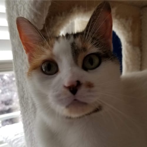 Canadian.... don't believe everything you think!   I work towards being a better person so I can see a better world.