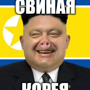 LGBTQ+ SJW SHE/HER NON BINARY IDENTIFY MYSELF AS PIG