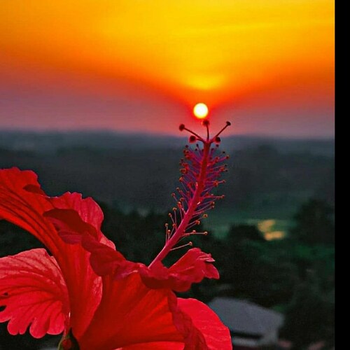 For we are God’s masterpiece. He has created us anew in Christ Jesus, so we can do the good things he planned for us lon...