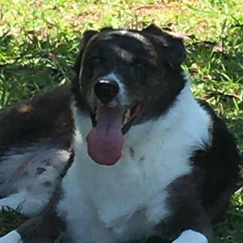 Visit jorgelog's profile on GETTR. View their posts, photos, videos, and connect with them on the social platform.