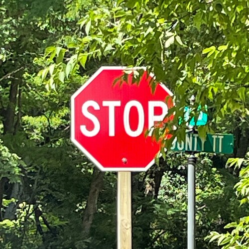 👑 Patriot 🇺🇸🇺🇸 #Trump2024 #Save America. Believe in God, Free Speech, Right to bear arms, and against #CRT