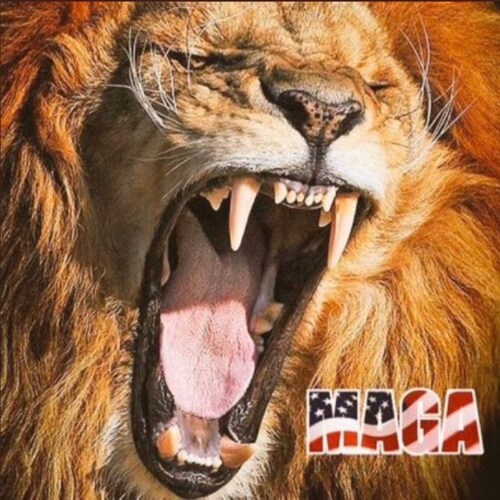 🇺🇲God Family Country🇺🇲 MAGA!!! WWG1WGA! GOD WINS!