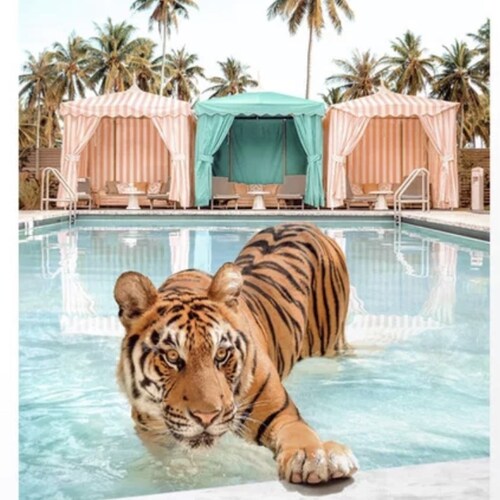 🇺🇸America First Patriot🇺🇸 Don’t blame me, I voted for Trump