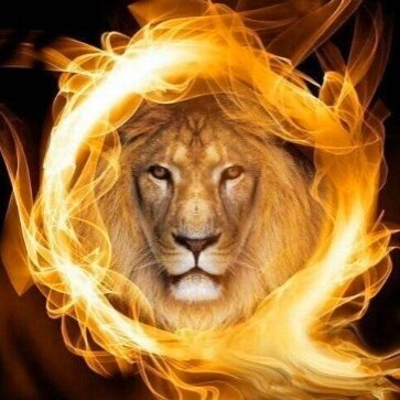 'Our Beautiful America' artist. 🇺🇸 Rebellion to tyrants is obedience to God. Jesus❤you! Trump won! Biden will never be...