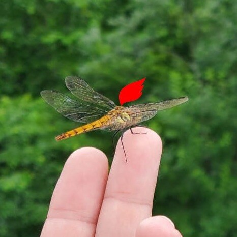 Justice is the insurance which we have on our lives and property. Obedience is the premium which we pay for it. GETTR JA...