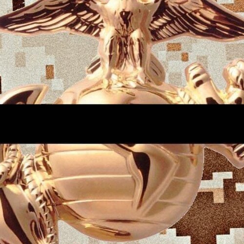 Red blooded America, Christian, Air Force Airmen and Florida man.