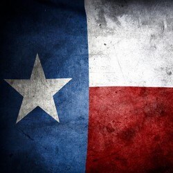 I pledge allegiance...one nation under God, indivisible, with liberty and justice for all. 🇺🇸