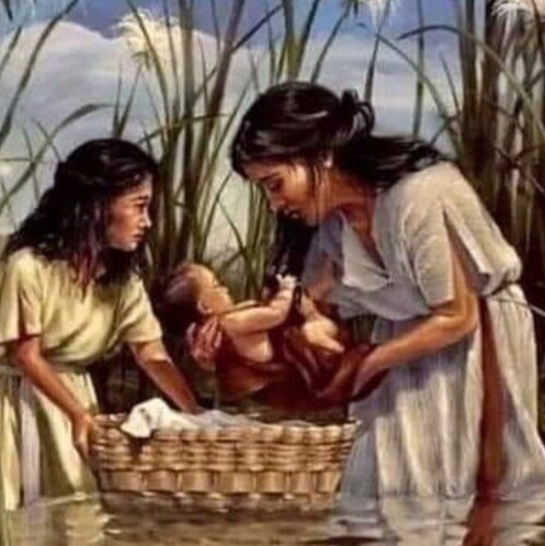 Gd first🙏🏽 I like memes, especially funny 😆 memes