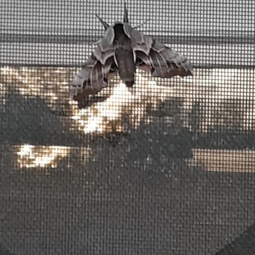 A faith that shines more bright and clear,
When tempests rage without,
That when in danger knows no fear,
In darkness fe...