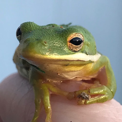 American against commie pricks like Biden. You should have a reasonably good idea where I stand.