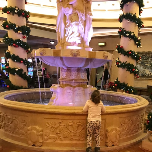 ❤️God ✝️
❤️Family 👨‍👩‍👧‍👦
❤️America 🇺🇸