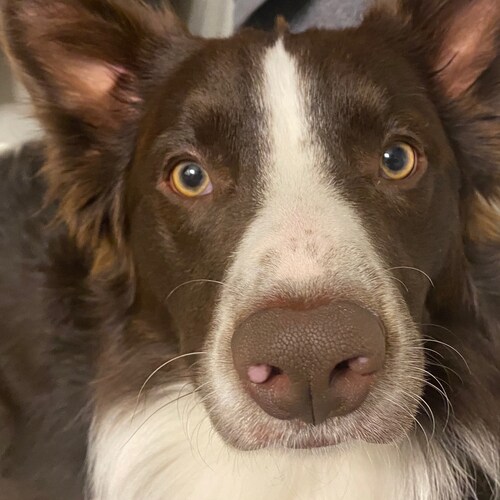 Pronouns: He/Bro

Love conquers all. ❤️❤️❤️

🦄🧙🏻‍♂️