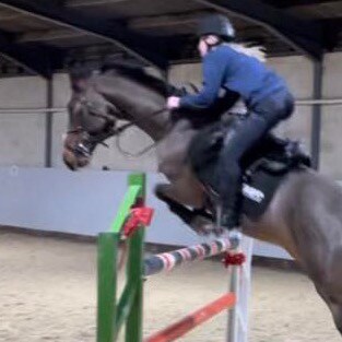 Engineer, passion for audio & horses. I love my wife more than ribeye steak. carnivore diet, lost 160lb