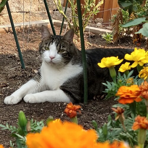 The Simple Things In Life Are Priceless... But having a PlayStation 5 helps out a Bit😉