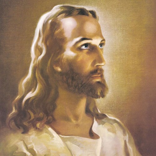 Texas Patriot
Sic Semper Tyrannis
Team Jesus Pro Life 2A
Will Fight 4 My Rights, 
God, Family, Texas, USA