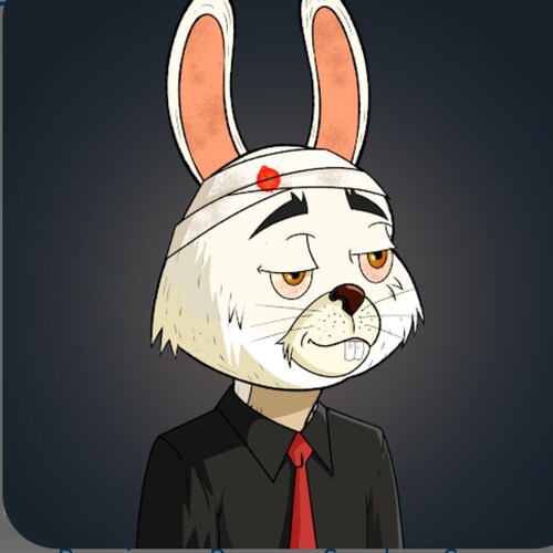 Crypto and NFT lover Blockchain believer