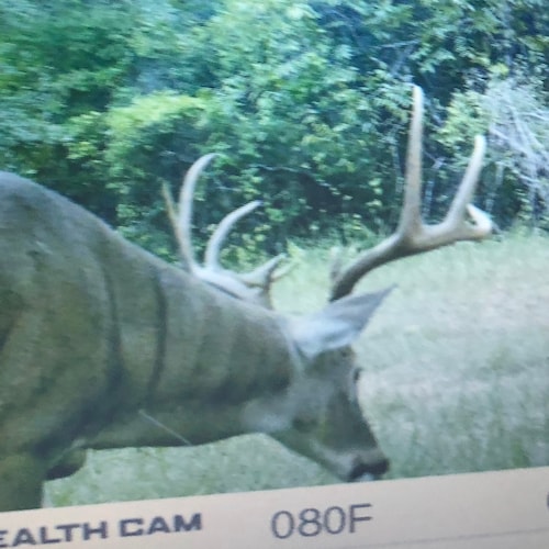 proud father , proud American ,love of my family,land , and my Lord