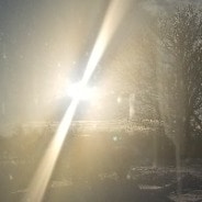 PUREBLOOD!! And VERIFIED single woman!  Wwg1wga God wins!! I follow back 🥰
🙏 for humanity to wake up!
From Dark to Lig...