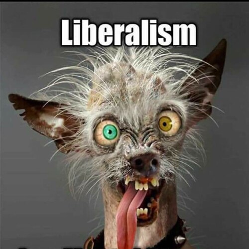 I am MAGA and damn PROUD OF IT! I will defend my freedoms and the freedoms of my family, no mater what the cost!