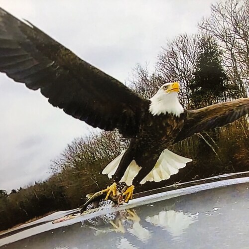 Artist, conservative that believes in  justice, rights given to us by God and the constitution and in fiscal responsibil...