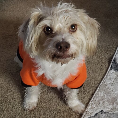 Visit Krow_22's profile on GETTR. View their posts, photos, videos, and connect with them on the social platform.