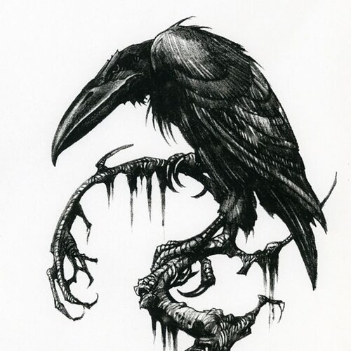 Uma vida sem liberdade não vale a pena, lute por ela!