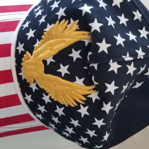 Anti-communist, anti-marxist, anti- progressive bull.  Strong Patriot, MAGA, AND supports what makes sense