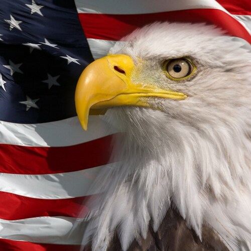 Visit ShadowPatriot's profile on GETTR. View their posts, photos, videos, and connect with them on the social platform.