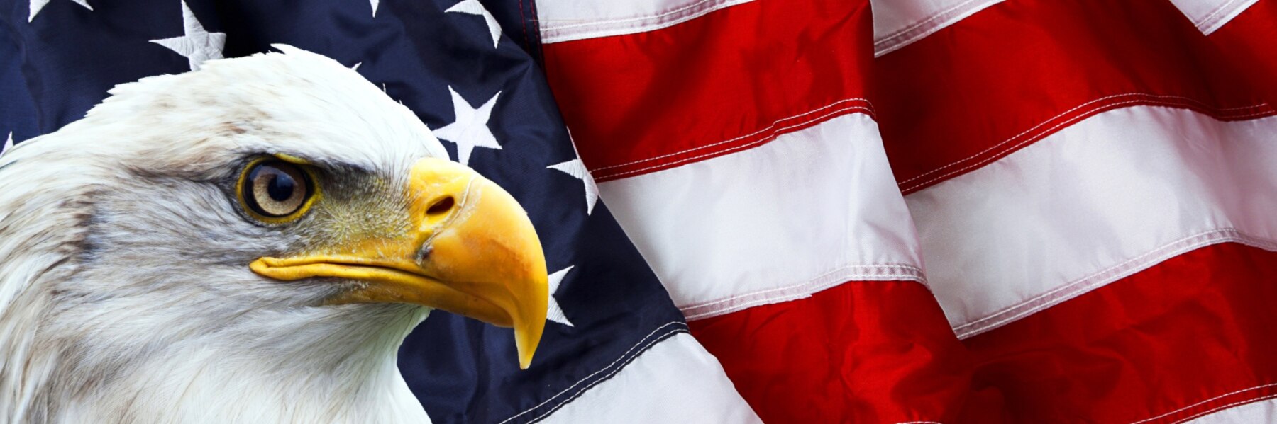 Patriot Deplorable