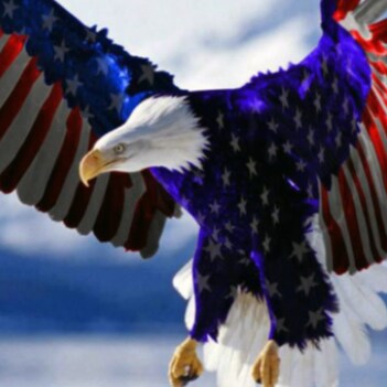 Election integrity. 45 won. Love of Country.