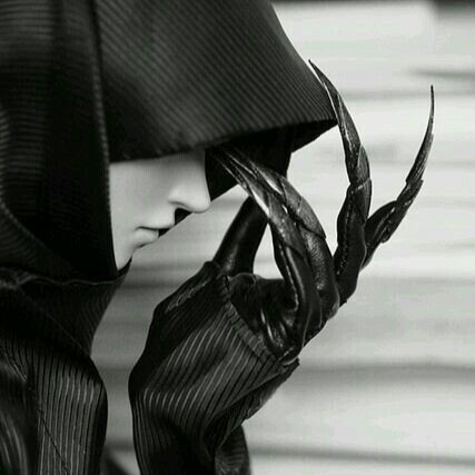 Dissident Right | Roman Catholic✝️ | Western Architecture, Heritage, Legacy | Physical Media💿 | 🚫pronouns 🚫J6/Blue An...