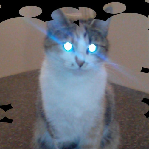 ✝️Wife, mom and GRANDMA.  
  🇺🇸 MAGA 🇺🇸