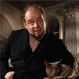 Magician, group leader, and transcriber of Runes.

Allow me to give you this parchment...