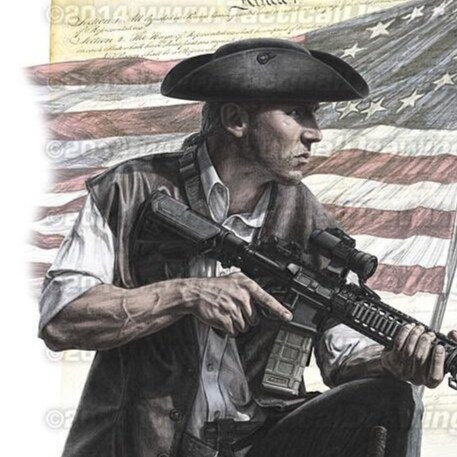 Constitution, America, and Zombies. What’s not to love?