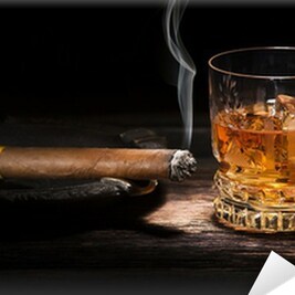 Pro Constitution, Pro Bill of Rights, Pro Right to Life, Pro Tagonist