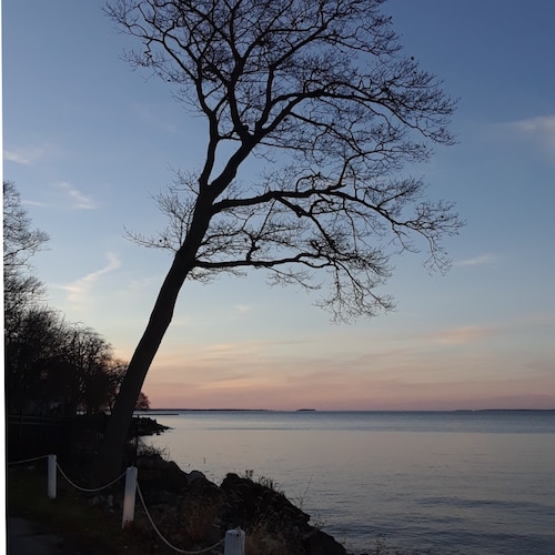 Visit LakeErieShore's profile on GETTR. View their posts, photos, videos, and connect with them on the social platform.