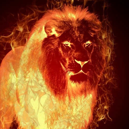 A Patriot that knows enough to believe nothing 
United we stand divided we fall