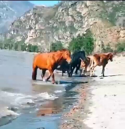 🐴🐴🐴   🌊🌊🌊
====================
Channel: @OHMichael | Backup: @OperationFollow | Stay Connected...