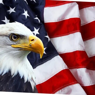 🇺🇸Patriot🇺🇸-MAGA-🙏🙏Warrior👨‍🚒 -The Great Awakening🙏🙏WWG1WGA🇺🇸🇺🇸

🙏In God We Trust🙏
     #TrumpWon🇺🇸🇺�...